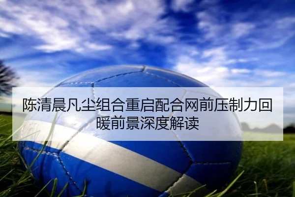 陈清晨凡尘组合重启配合网前压制力回暖前景深度解读
